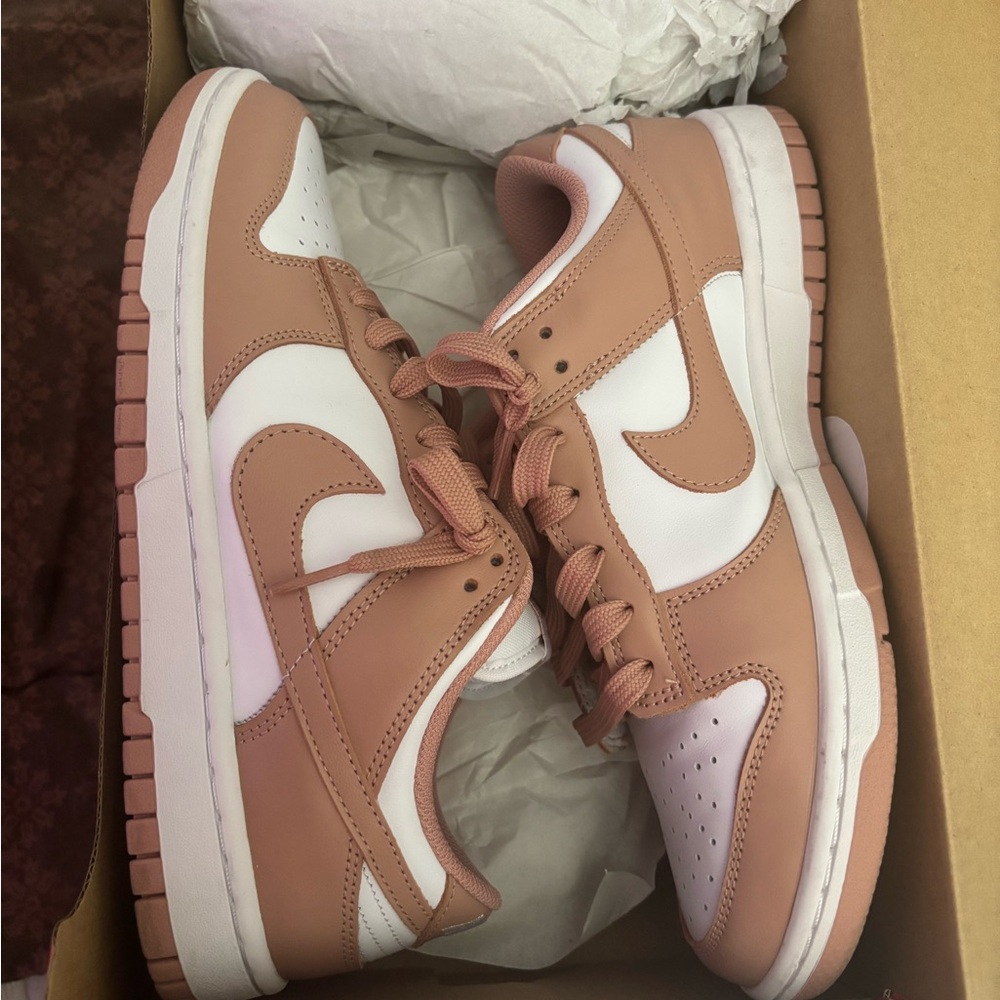 Nike dunks brand new condition